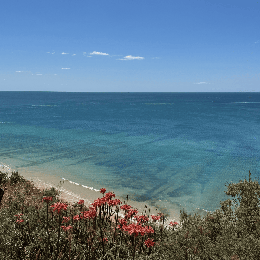 
                      
                        April RWL Portugal Retreat: 27th - 1st
                      
                    